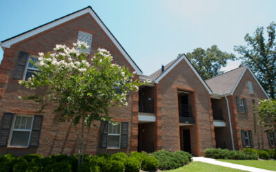 featured-brycelawn-01-400x250